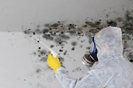 Best Mold Remediation for Healthcare Facilities  in Stony Prairie, OH